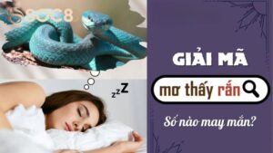 Hành Trình Giải Mã Giấc Mơ Thấy Rắn Nắm Bắt Vận May Hốt Bạc