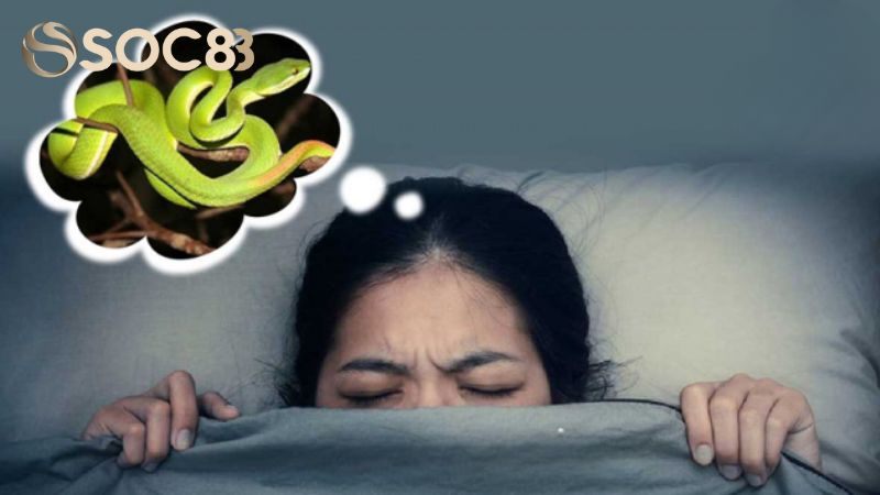 Chiêm bao thấy xà có khá nhiều tầng ý nghĩa siêu đa dạng theo lĩnh vực tâm linh học